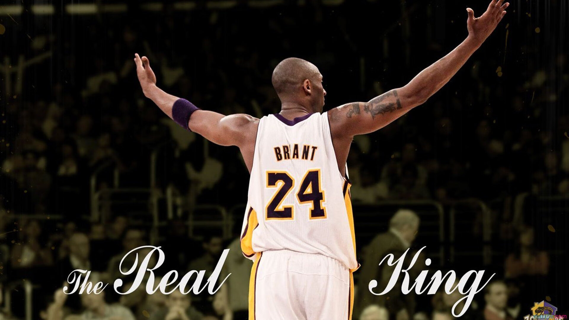 银箭刺破蓝色迷雾,威廉姆斯的战术觉醒与汉密尔顿的终极一击